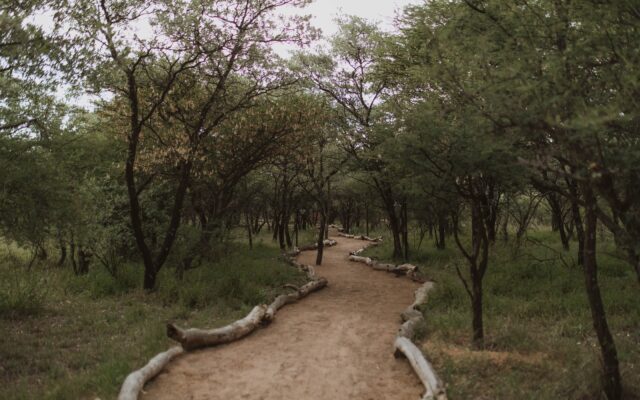 Bushcamp